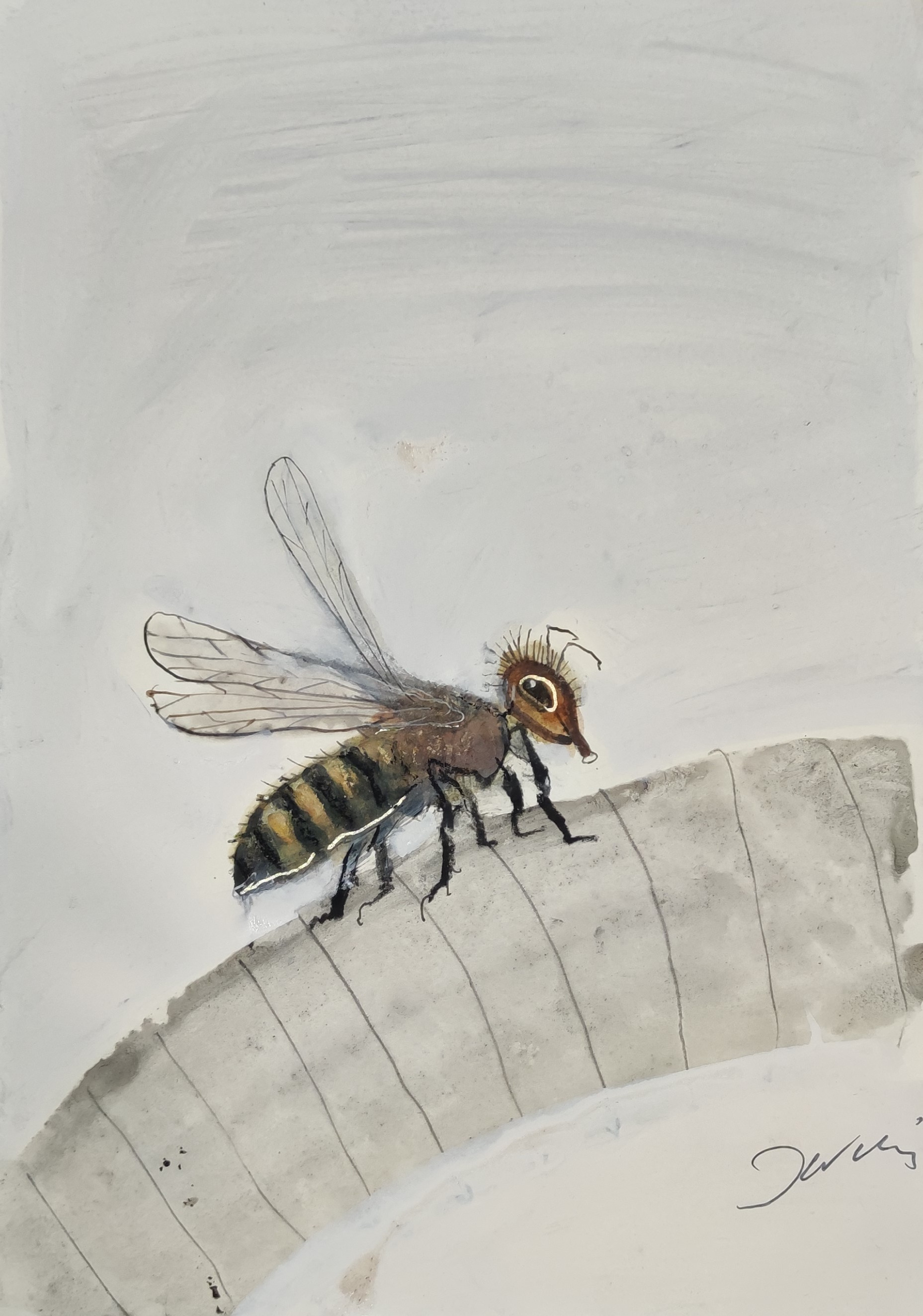 Miodosytnia Pasieka Krasnal